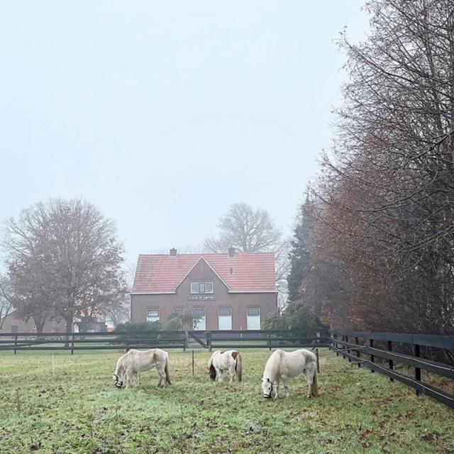 Hoeve De Snippert ครูนโล ภายนอก รูปภาพ