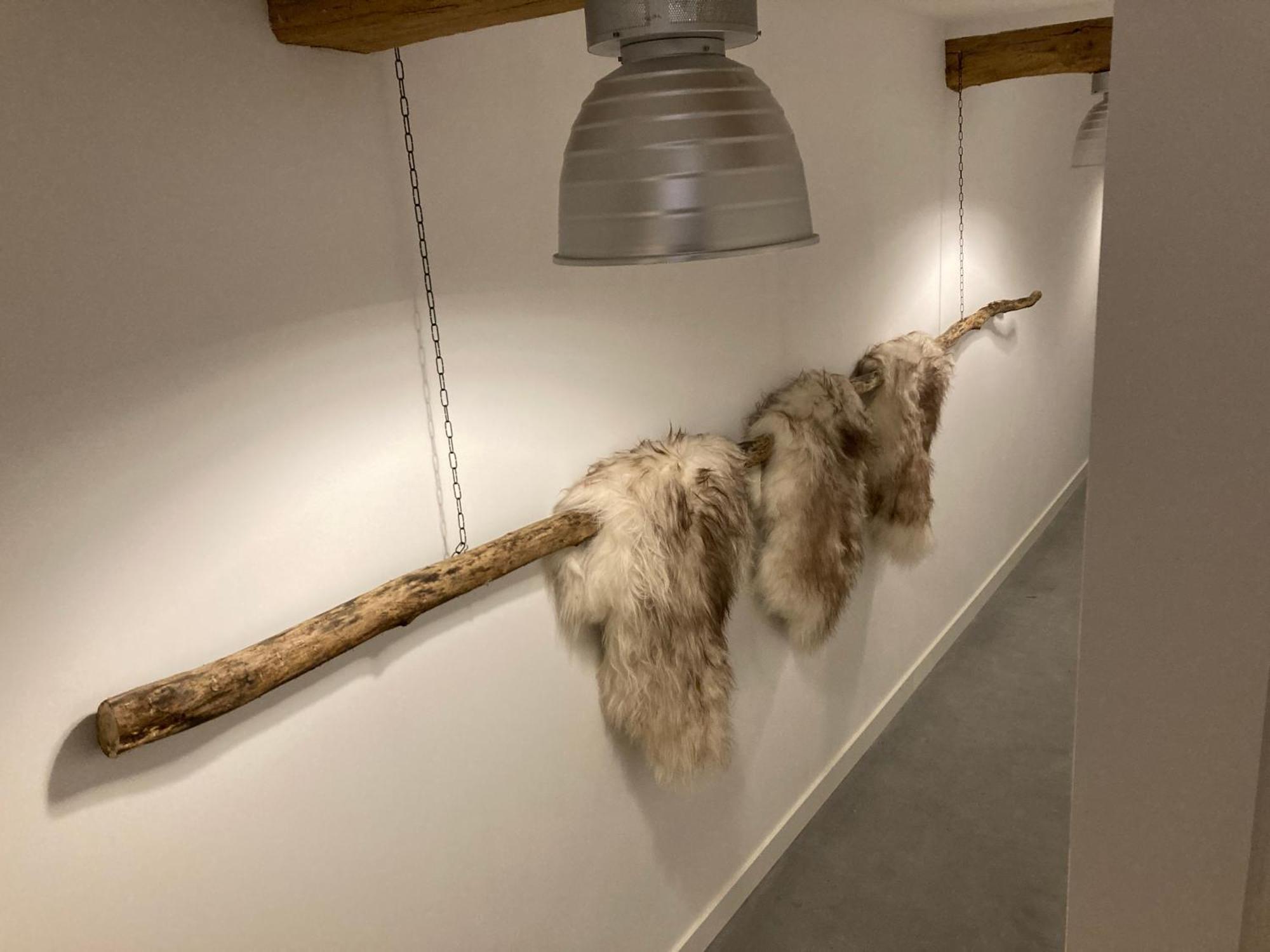 Hoeve De Snippert ครูนโล ภายนอก รูปภาพ